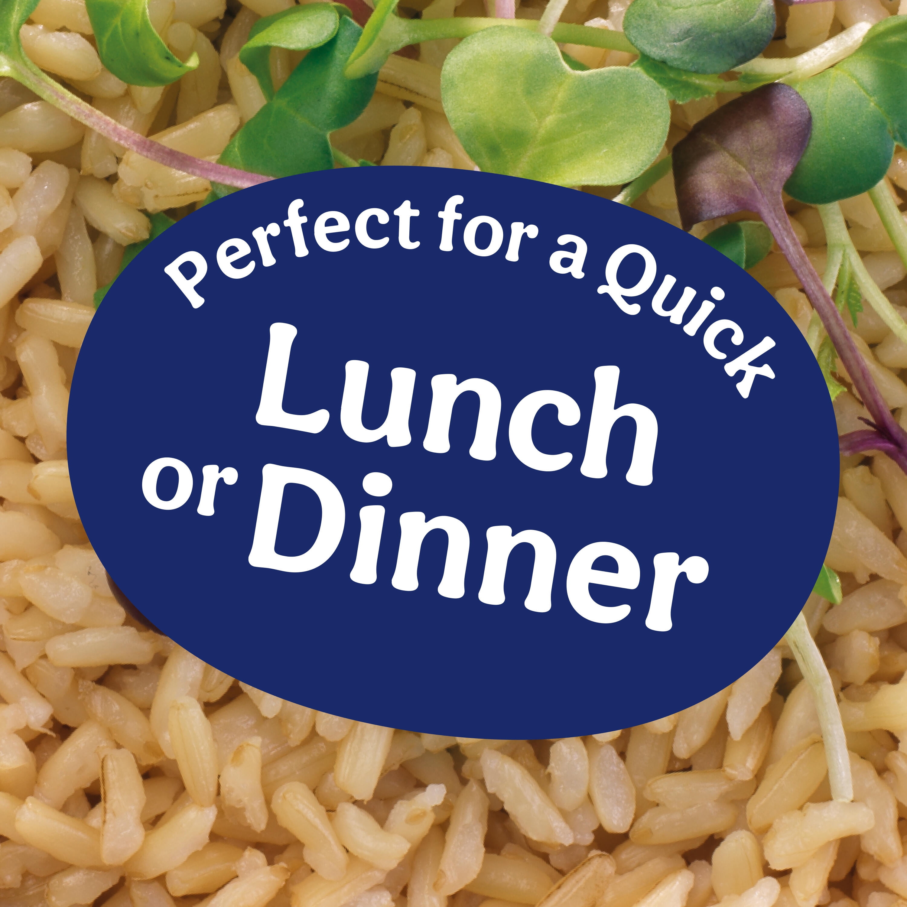 (2 pack) Ben's Original Brown Jasmine Ready Rice