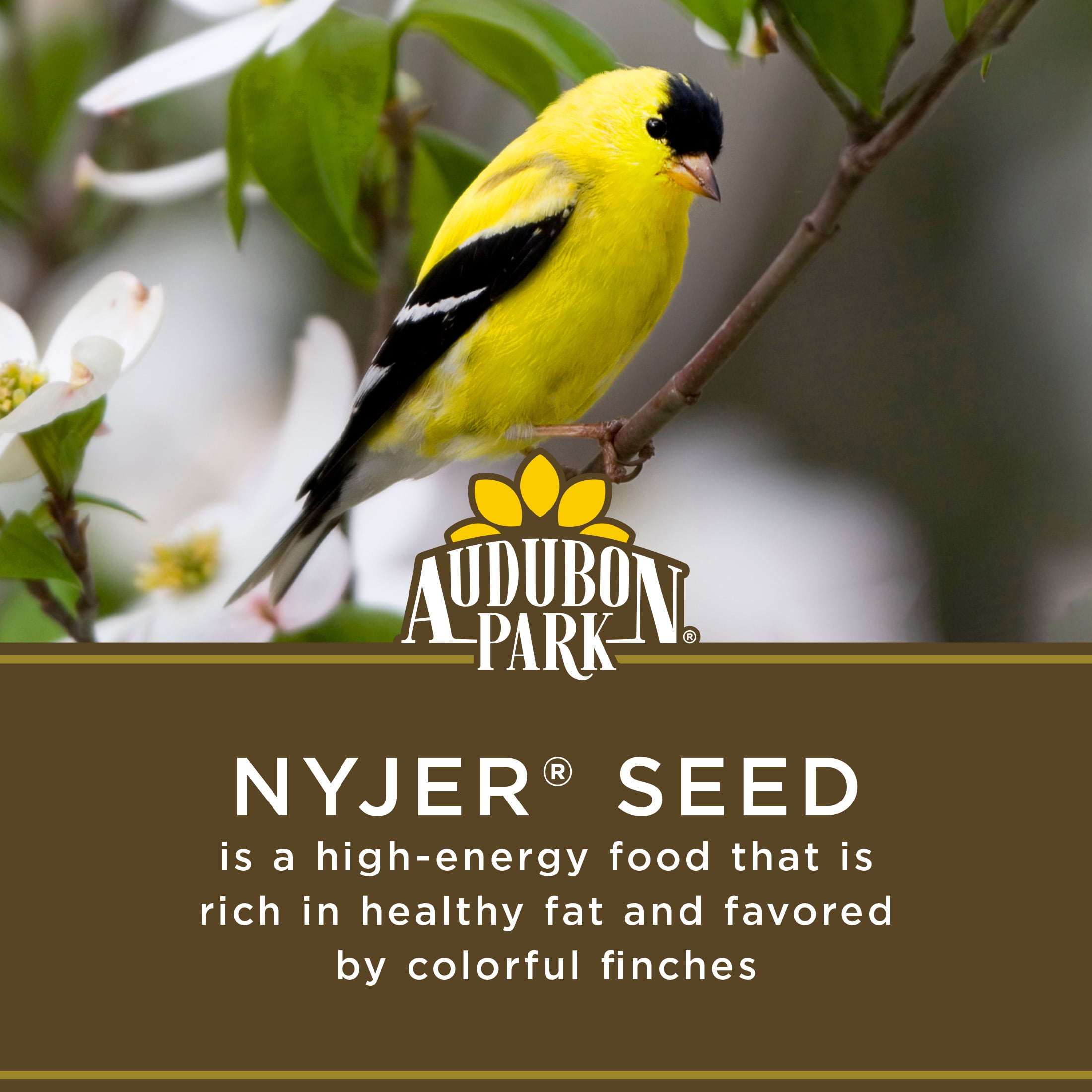 Audubon Park Nyjer Seed Wild Bird Food, Dry, 1 Count per Pack, 15 lb. Bag