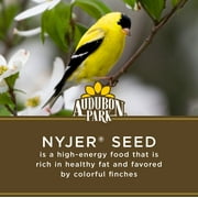 Audubon Park Nyjer Seed Wild Bird Food, Dry, 1 Count per Pack, 15 lb. Bag