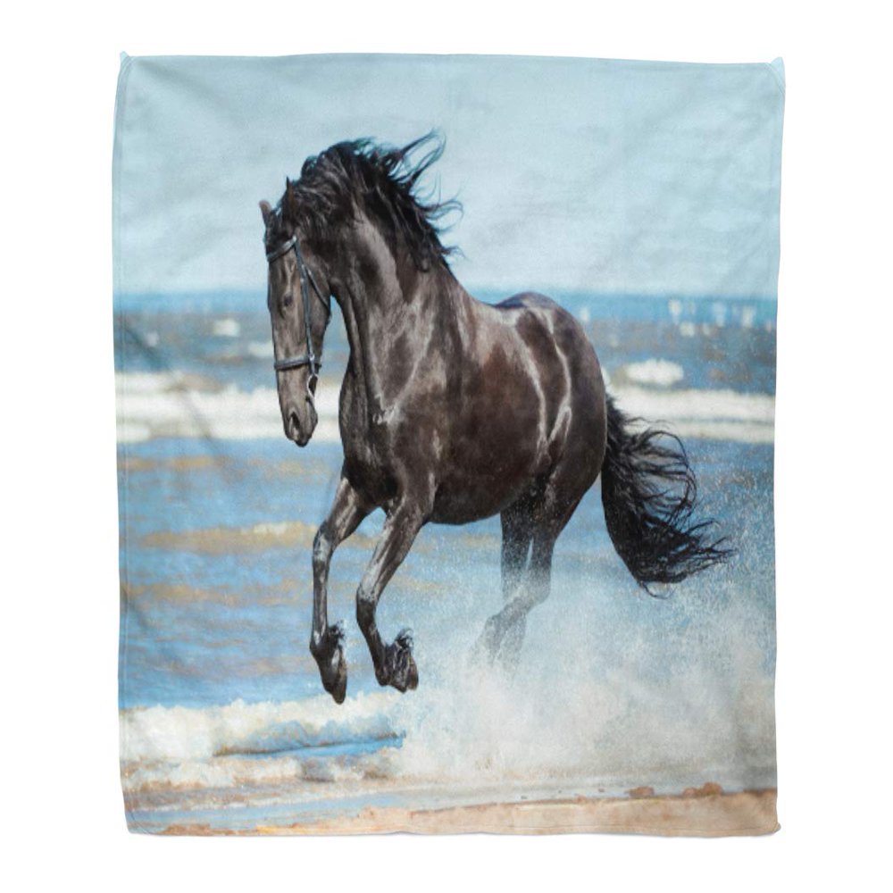 SIDONKU Flannel Throw Blanket Blue Active Black Friesian Horse Runs