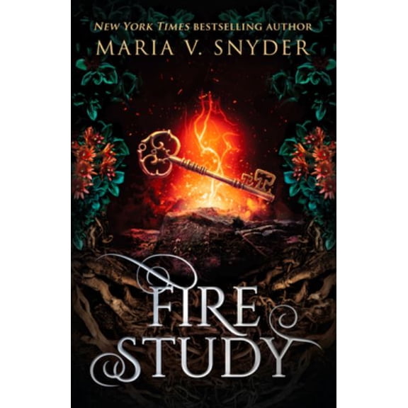 Pre-Owned FIRE STUDY (Paperback) 1848452411 9781848452411