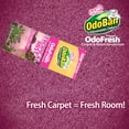 thumbnail image 5 of OdoBan OdoFresh Carpet and Room Deodorizer Powder for Home Smells and Odors Including Smoke, Pet Urine, Dogs, and Cat Litter, Tropical Scent, 36 Ounces, Pack of 6, 5 of 5