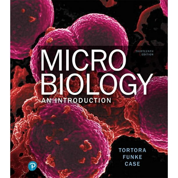 Microbiology An Introduction Walmart Com Walmart Com