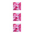thumbnail image 2 of Minnieouse Paquete de 100 pétalos de rosas artificiales reutilizables, adorno romántico, flores falsas, suministros de compromiso, rojo oscuro y negro Type1 NO1 Minnieouse CBP105740, 2 of 6