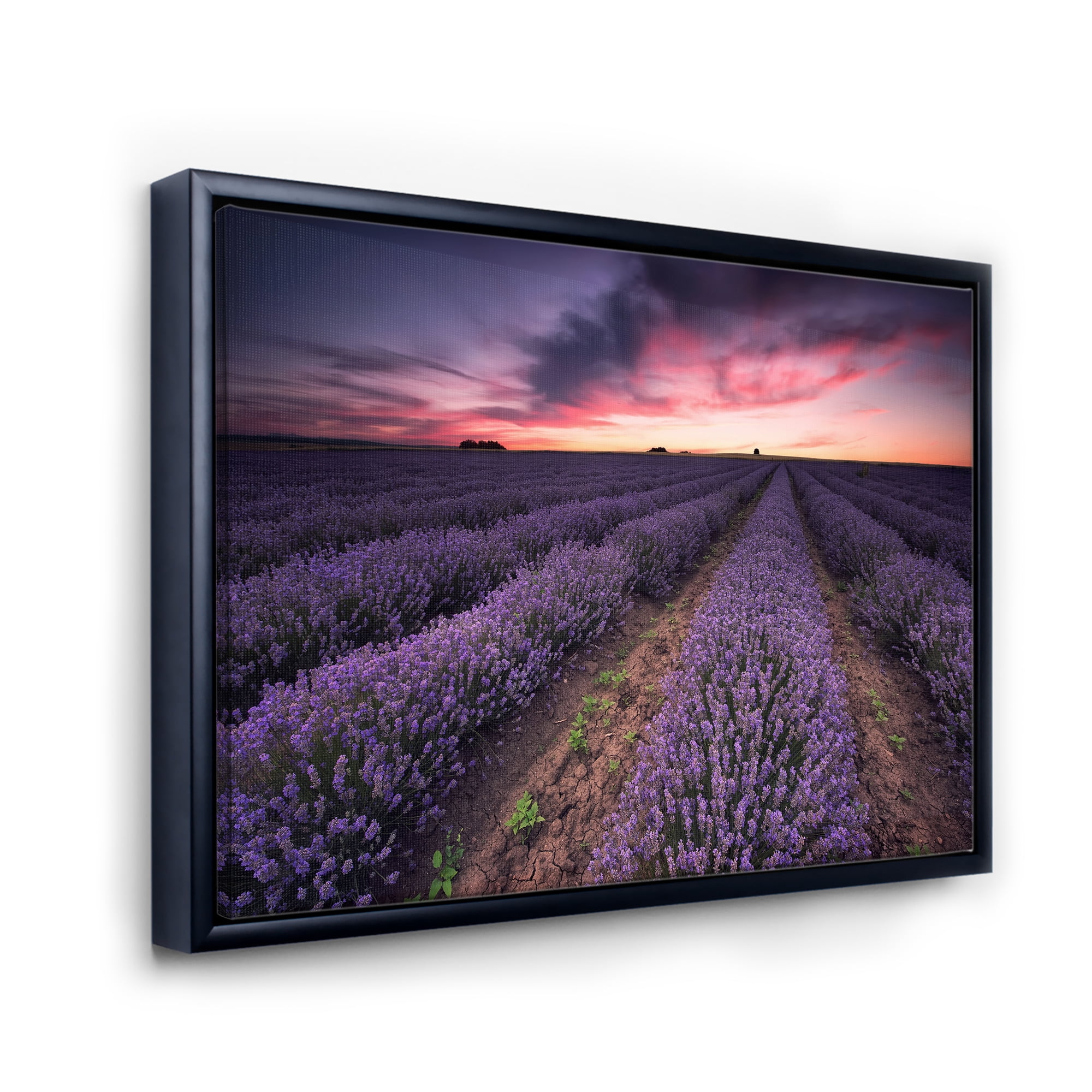 Designart 'Dramatic Clouds and Sunrise Over Lavender Field IX' Farmhouse Framed Canvas Wall Art Print