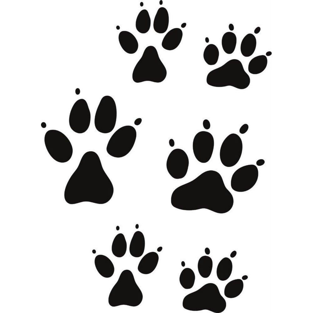 Cat Dog Claws Animal Paw Prints 12"X12" Picture Art Peel