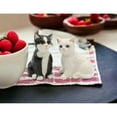 thumbnail image 2 of Ceramic Cat Salt and Pepper Shaker Set Black and White Gift for Cat, 2 of 3
