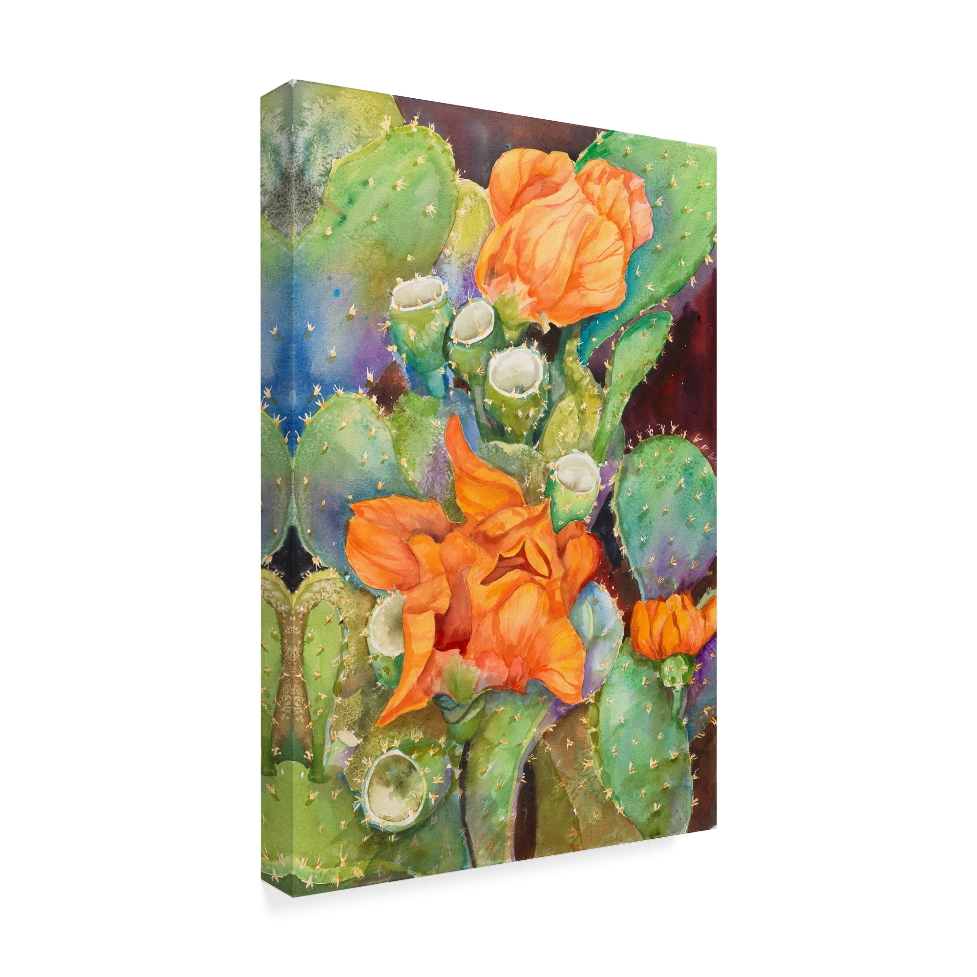 Trademark Fine Art 'Desert Blooms' Canvas Art by Joanne Porter
