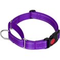 thumbnail image 1 of HAHDAXIA Collier Martingale pour Chiens avec Boucle à Dégagement Rapide, Collier Réfléchissant Robuste pour Chiot pour la Sécurité, Colliers en Nylon Ajustables pour Chiens Moyens pour la Marche et l'Entraînement, Violet, m, 1 of 7