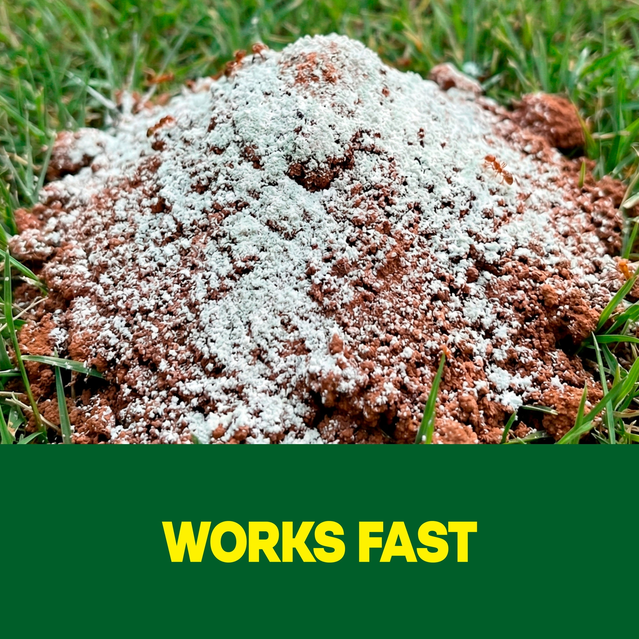 Raid Outdoor Fire Ant Mound Killer, Dust Insecticide for Outside Household Use on Ants, Fire Ants and Termites, Lasts 1 Year, Kills the Queen, Works Fast and Easy-To-Use, 24 oz