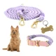 thumbnail image 1 of Correa Doble 2.4m Y Collar Para Perro. Set Nube Kewoow, 1 of 8