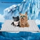 thumbnail image 3 of Alfombrilla Refrescante para Perros, Reversible, Autoenfriante (Fría y Cálida), para Mascotas (XL, 140 X 101 cm), 3 of 7