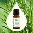 thumbnail image 3 of Plant Therapy Rosemary Organic Essential Oil 100% Pure, USDA Certified Organic, Undiluted 10 mL (1/3 oz), 3 of 8
