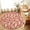 Brown, variant on Round Area Rugs 4Ft, Coastal Lobster Non-Slip Washable Circle Rugs Carpet, Summer Beach Ocean Marinelifes Red Brown Indoor Outdoor Rug Floor Mats Throw Runner for Bedroom Living Room Bathroom