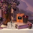 thumbnail image 3 of NEST New York - Autumn Plum Reed Diffuser, 3 of 6
