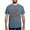 Blue Jean, variant on CafePress - Full As A Tick - Mens Comfort Colors Shirt