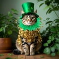 thumbnail image 5 of FYTPOV Cat Collar with Ribbons, Shamrock Decor Cat Collars, St.Patrick's Day Dog Scarf Collar, Pet Costume for Party Photograph, L, 5 of 5