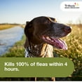 thumbnail image 4 of Trifexis Heartworm Prevention | Treats & Controls Flea Infestations + 4 Other Worms | Dogs 20.1-40 lbs., 4 of 19