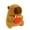 D, variant on Capybara Plush Toys for Birthday Party Gifts Halloween Doll with Toast，Cute Capybara Doll Christmas Gifts