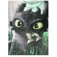 thumbnail image 1 of Exclusiva! Cobija Frazada Ultra Suave Como Entrenar a tu Dragon Chimuelo, 1 of 1