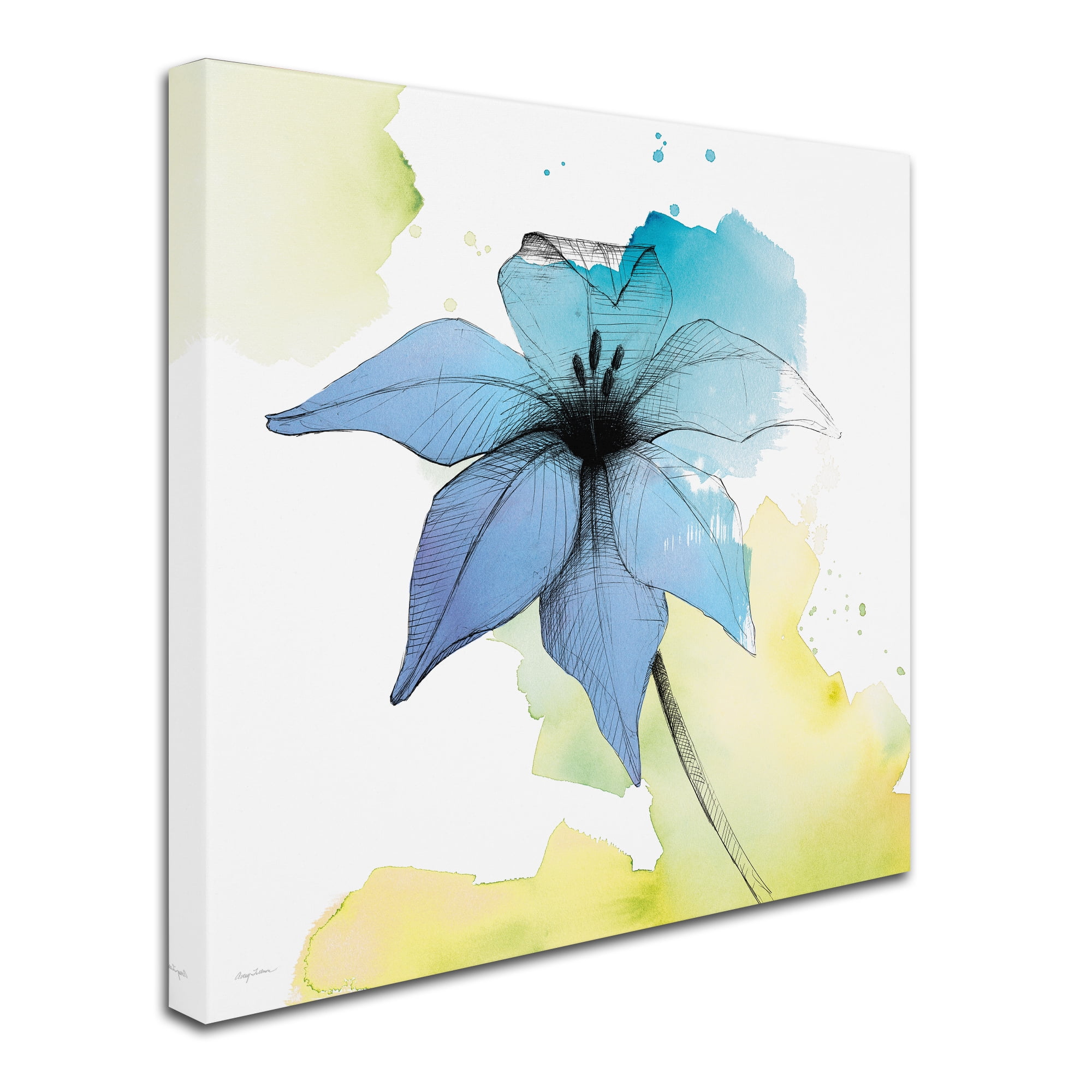 Trademark Fine Art 'Watercolor Graphite Flower V' Canvas Art by Avery Tillmon