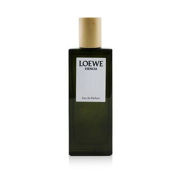 Loewe Men's Solo Cedro EDT Spray 3.4 oz Fragrances 8426017070546
