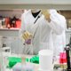 thumbnail image 4 of OHOIOLLA High Temperature Endurance Ptfe Laboratory Beaker White with Stable Base and Tapered Spout, 4 of 8
