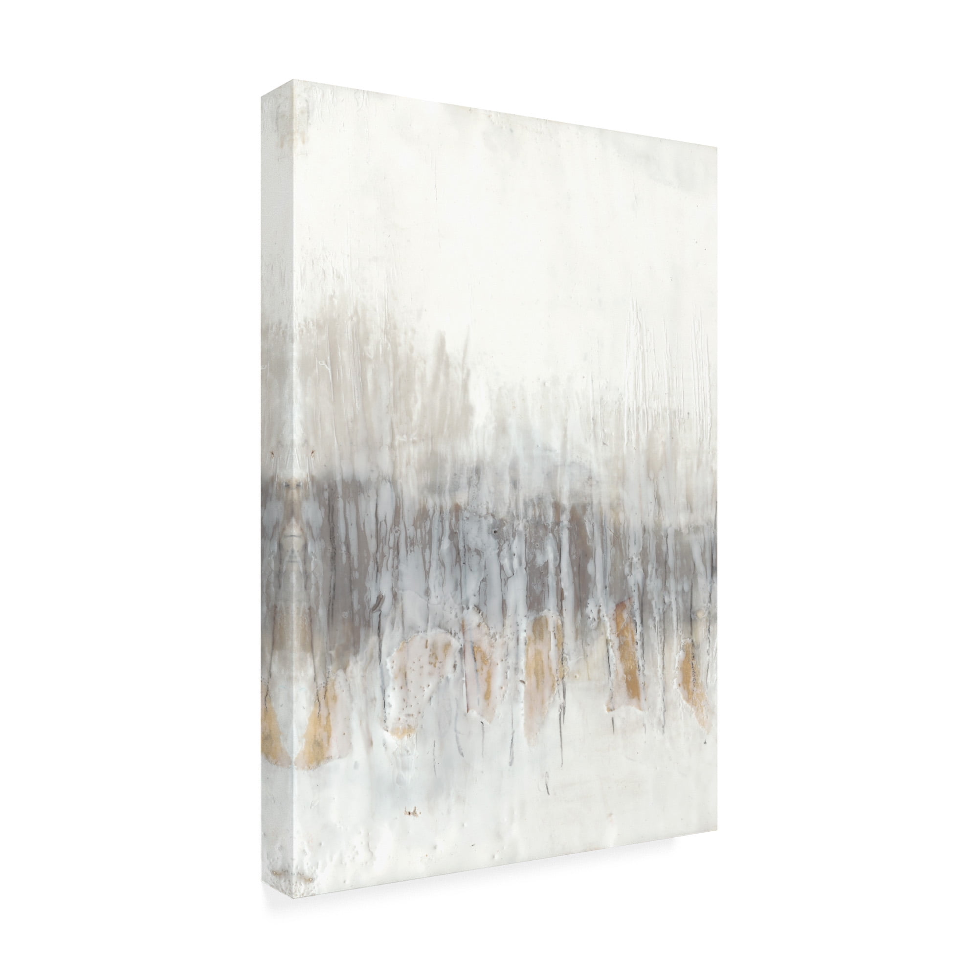 Trademark Fine Art 'Neutral Wave I' Canvas Art by Jennifer Goldberger