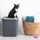 thumbnail image 4 of Caja de Arena Arm & Hammer de Entrada Superior con Filtro Microban, 4 of 5