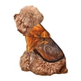 thumbnail image 5 of Gaeub Gold Flame Pattern Wolf Dog Hoodie Sweatshirts Warm Dog Clothes for Small Dogs,Puppy and Cat Costume-, 5 of 7