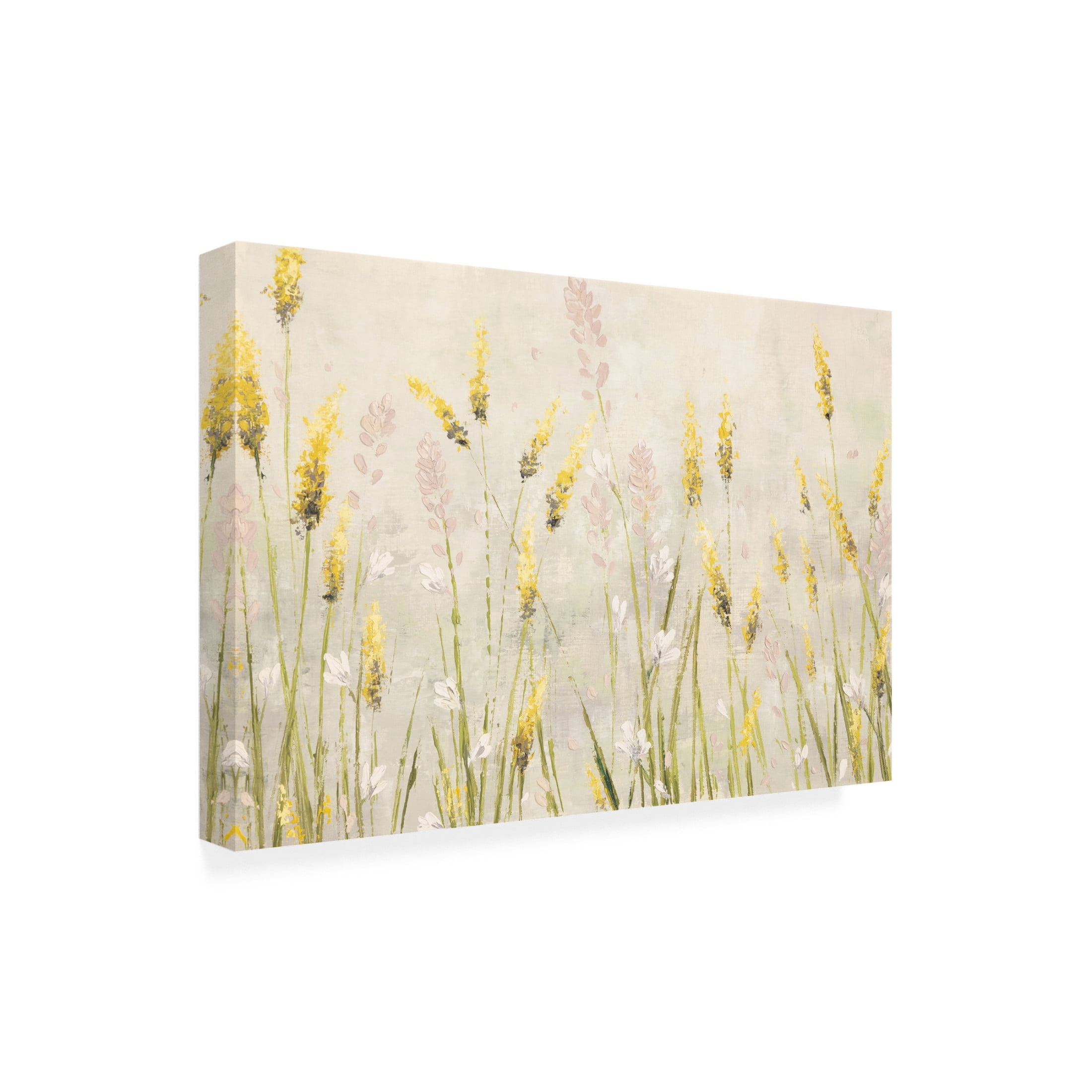Canvas Wall Art - Emma Coghlan 'Actaea Simplex' Wall Art for Living Room, Bedroom, or Office Décor by Trademark Fine Art - 19 x 12 Inches
