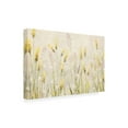 thumbnail image 4 of Canvas Wall Art - Emma Coghlan 'Actaea Simplex' Wall Art for Living Room, Bedroom, or Office Décor by Trademark Fine Art - 19 x 12 Inches, 4 of 4