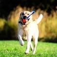thumbnail image 4 of Juguete para Perro Chuckit! Ultra Tug y Ultra Ball para Perros de 9 a 27 kg, 4 of 7