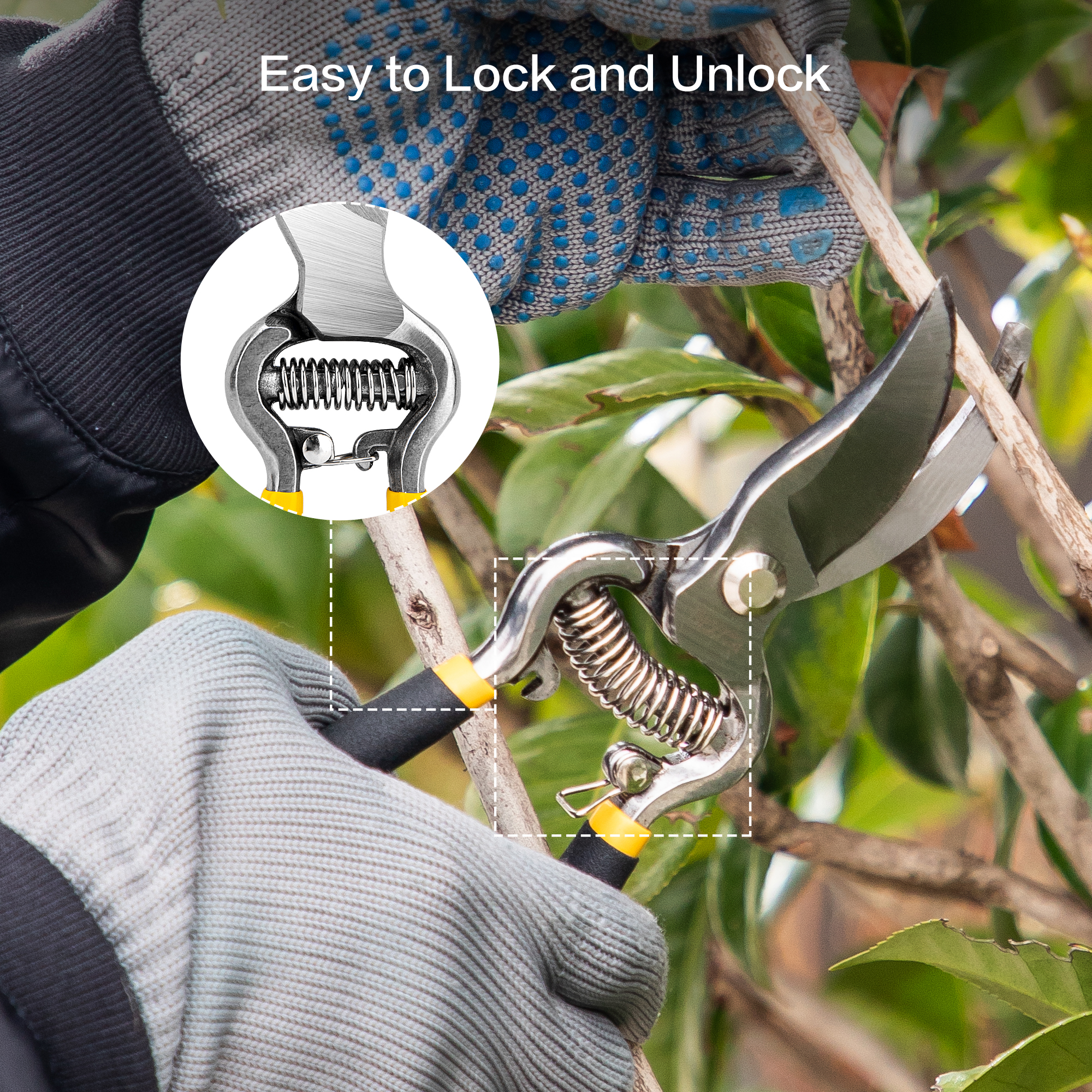 Deli Garden Pruning Shears 8 Inch Bypass photo 6