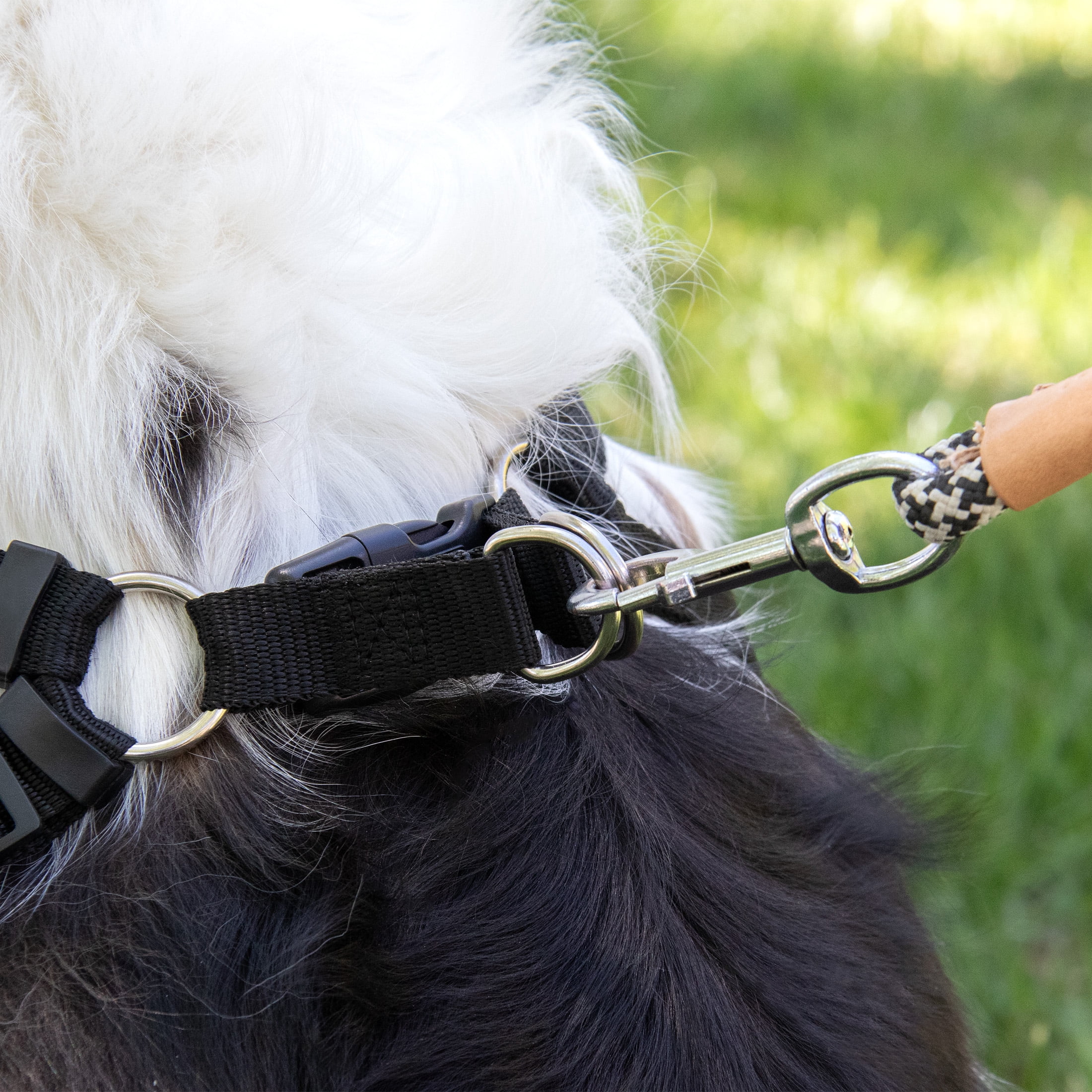 Pet Champion Large Basic Step-In Dog Harness