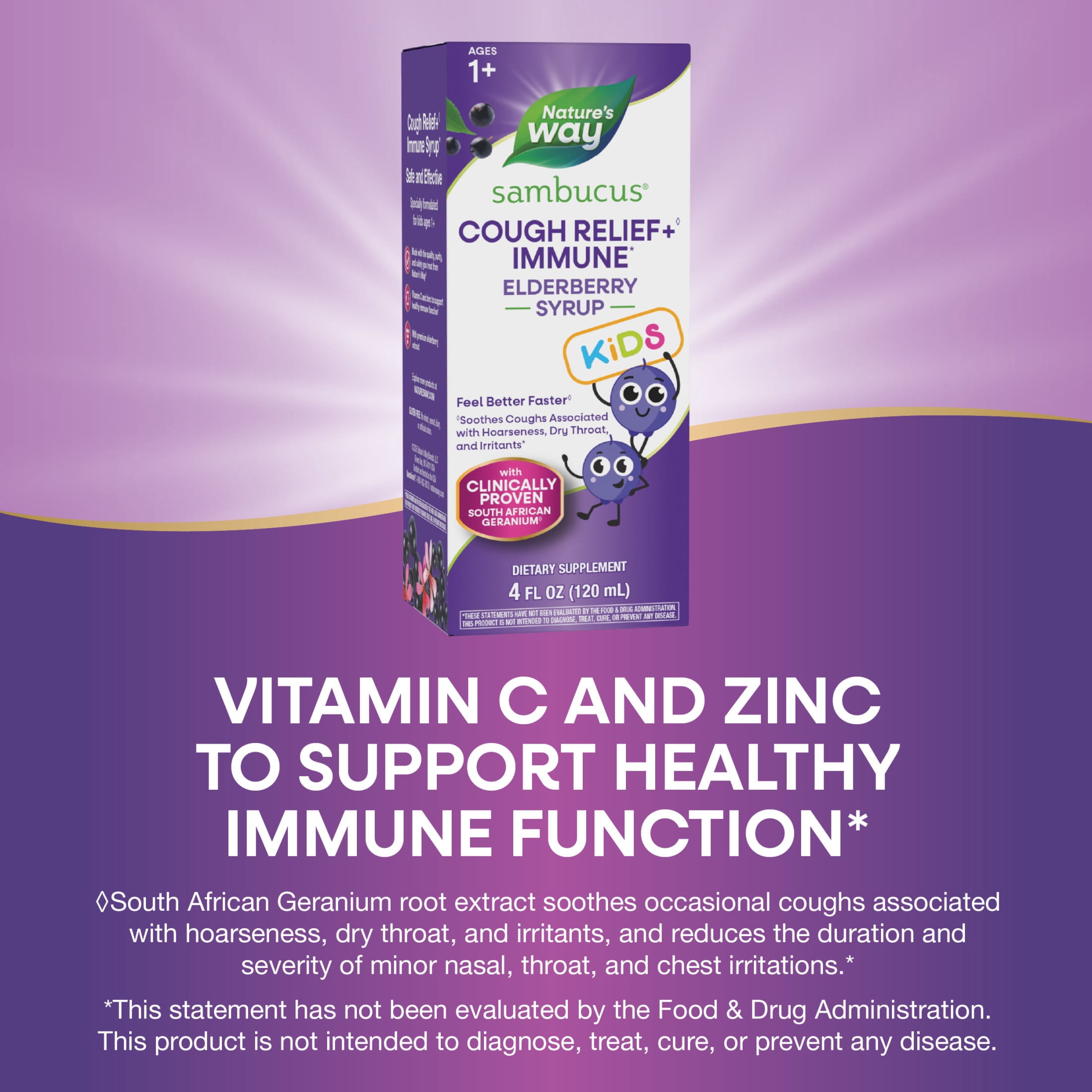 (2 pack) Nature's Way Sambucus Kids Cough Relief + Immune Elderberry Syrup, with Vitamin C & Zinc, 4 fl oz