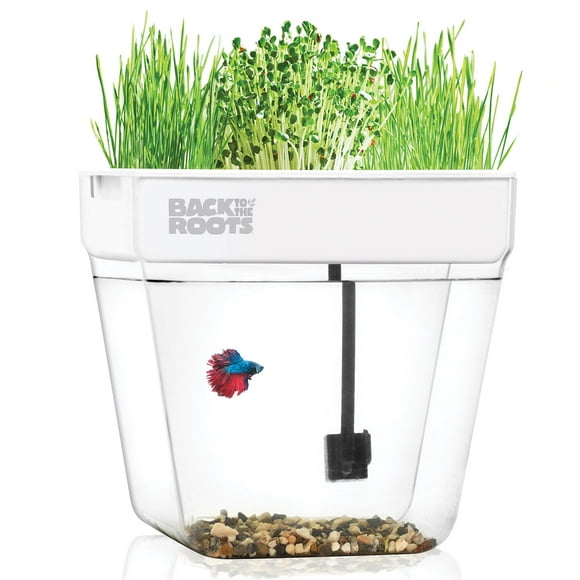 Back to the Roots Indoor Aquaponic Garden and Fishtank - 3 Gallon Self Watering, Mess-Free Planter and Self-Cleaning Fishtank for Herbs, Microgreens, Bamboo, Succulents, and Houseplan