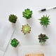 thumbnail image 4 of Mini plantas suculentas falsas plantas suculentas en maceta de plástico artificial surtido de plantas para decoración de mesa de oficina en casa, juego de 6 Ormromra YQ-0250, 4 of 7