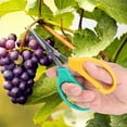thumbnail image 3 of Tijeras de podar de uva tijeras para recoger frutas tijeras para recoger ramas de frutas tijeras para ramas tijeras de jardín para árboles frutales jardines bonsái ANGGREK Otros, 3 of 8