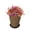 A, variant on Easter Decorations Woven Flower Pots with Potted Plants for Home Decor, Rustic Handmade Planter Basket for Indoor Tabletop and Easter Gifts, Spring Floral for Front Door, A