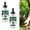 2pc, variant on Carnivorous Plant Food Spray, Venus Fly Trap Food, Tropical Plant Fertilizer for Carnivorous Plants, Premium Liquid Fertilizer & Feeding Supplement for Consistent Growth