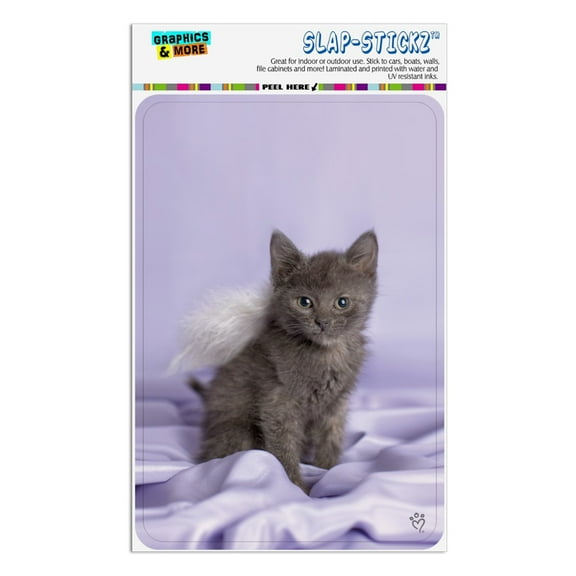 Domestic Shorthair Kitten Cat Angel Wings Purple Satin Home Business Office Sign