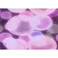 thumbnail image 1 of Ahgly Company Indoor Rectangle Patterned Blossom Pink Area Rugs, 7' x 10', 1 of 6