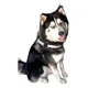 thumbnail image 2 of Arnes Para Perros Razas Grandes Personalizados Uso Rudo, 2 of 4
