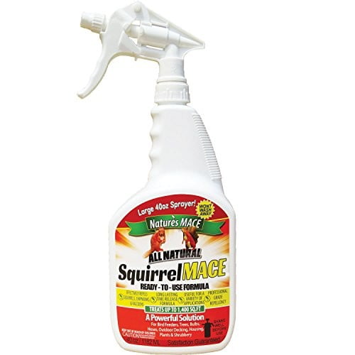 Nature's Mace Squirrel Repellent RTU Spray,  40oz (covers 1,400 sq ft)