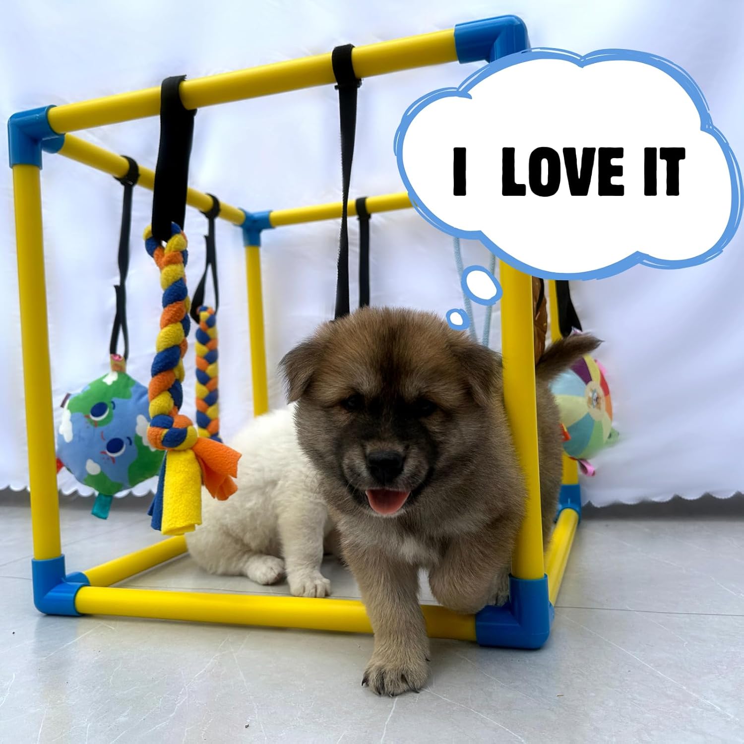 Puppy Play Gym with 8 Hanging Toys, Small Dogs Indoor Jungle Gym, PVC Frame with Bungee Straps Enrichment Activity Center