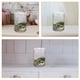 thumbnail image 5 of Terrario de vidrio, maceta de vidrio, soporte transparente para plantas con tapa, terrario de musgo, 5 of 7