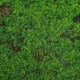 thumbnail image 3 of Artificial musgo césped simulación musgo hierba realista plantas verdes decoración micro paisaje musgo césped, 3 of 6