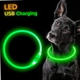 thumbnail image 3 of Typpkmm LED USB Dog Collar with Pet Dog Night Luminous Charge, 3 of 7
