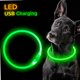 thumbnail image 3 of Typpkmm LED USB Dog Collar with Pet Dog Night Luminous Charge, 3 of 7